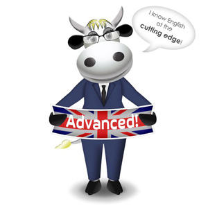 cow advanced