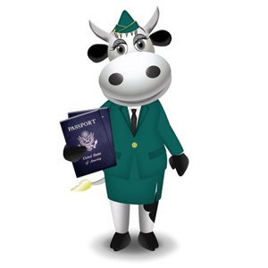 cow customs