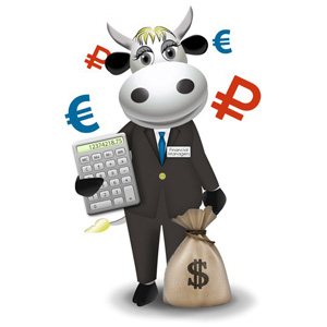 cow financial