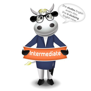 cow intermediate