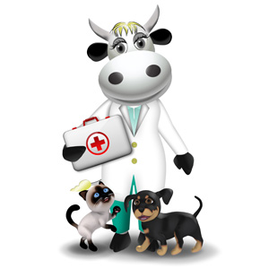 cow veterinar